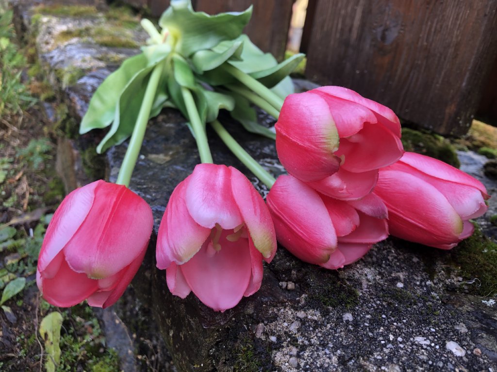 Umělé tulipány růžové 5 ks